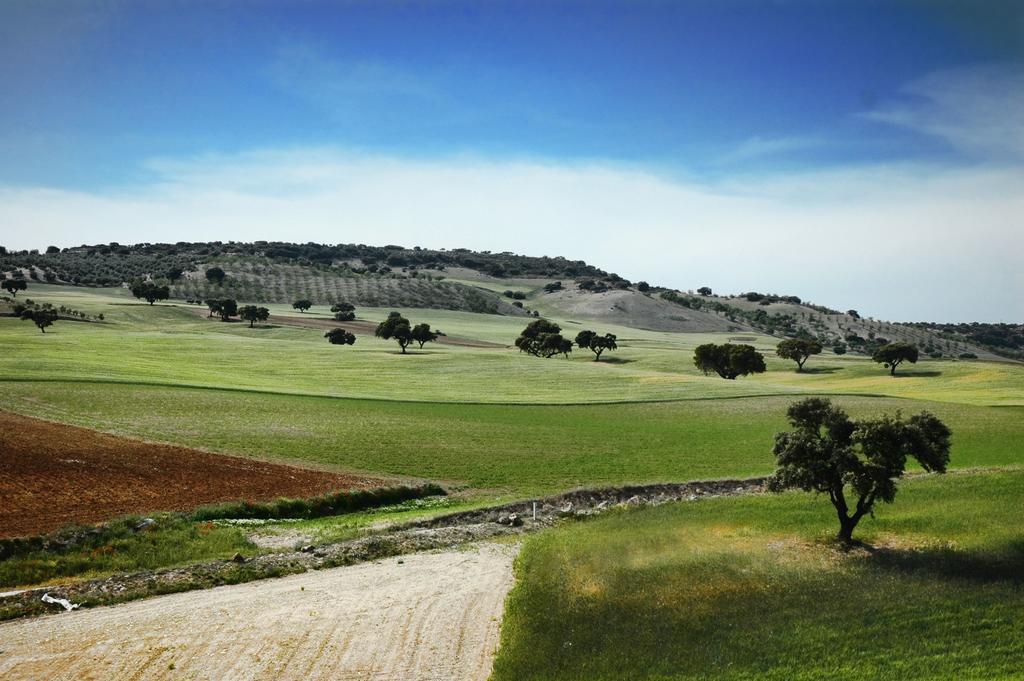 Apartamentos Turisticos Cortijo Garces Алхама де Гранада Екстериор снимка